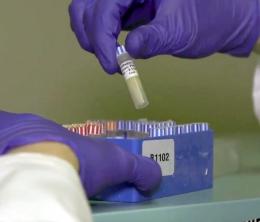 Gloved hands using a pipette with biological samples