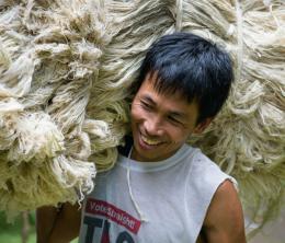 a member of a co-operative in the Philippines carrying a bale of pineapple leaf fibre.