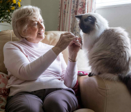 Image library picture of older woman sitting in her armchair with persian cat on the armrest.