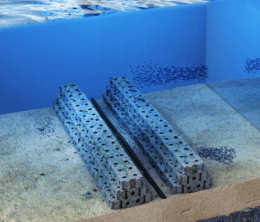 Computer generated see-through image of reef on ocean floor.