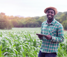 A smiling African farmer in check-shirt and straw hat, standing in a field of crops with tablet computer in his hands