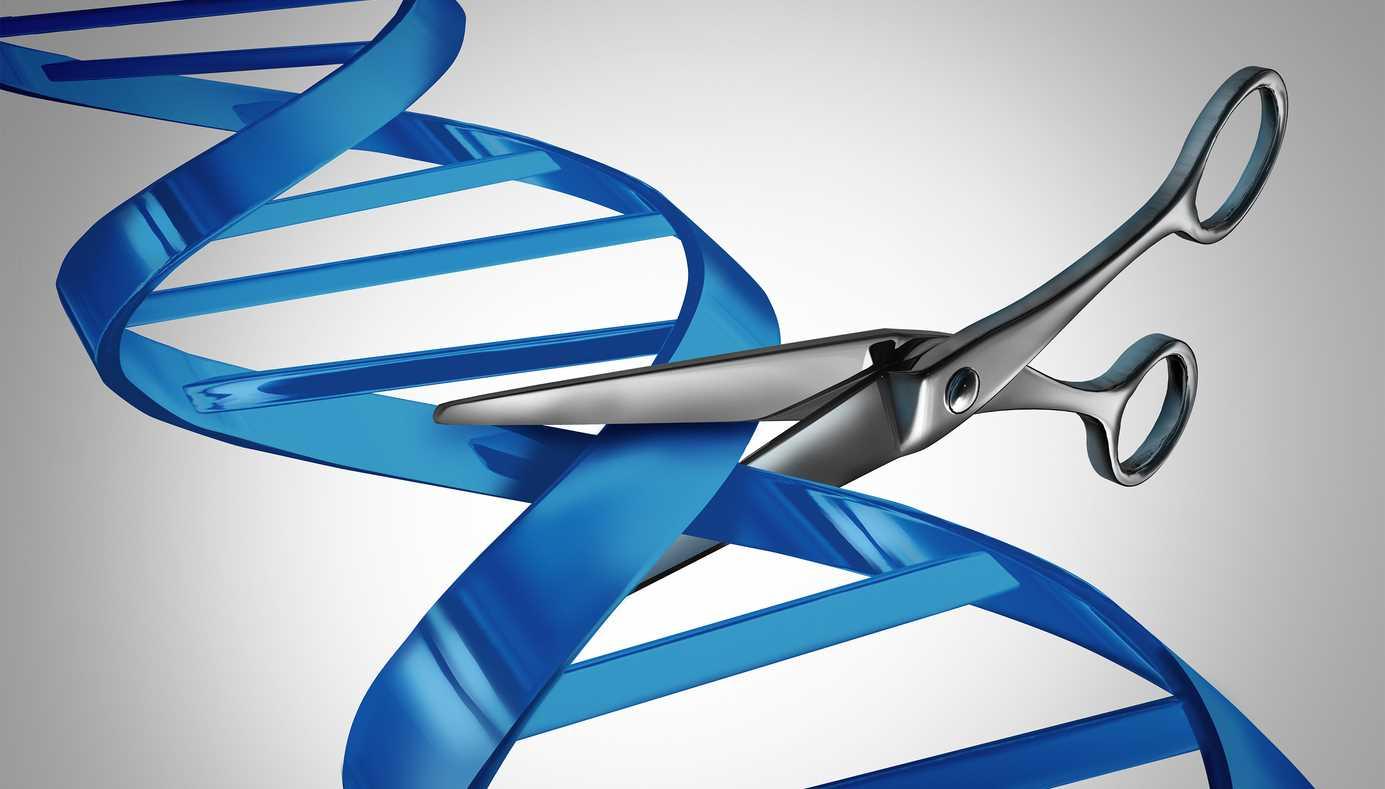 Scissors cutting ribbon arranged in DNA shape.