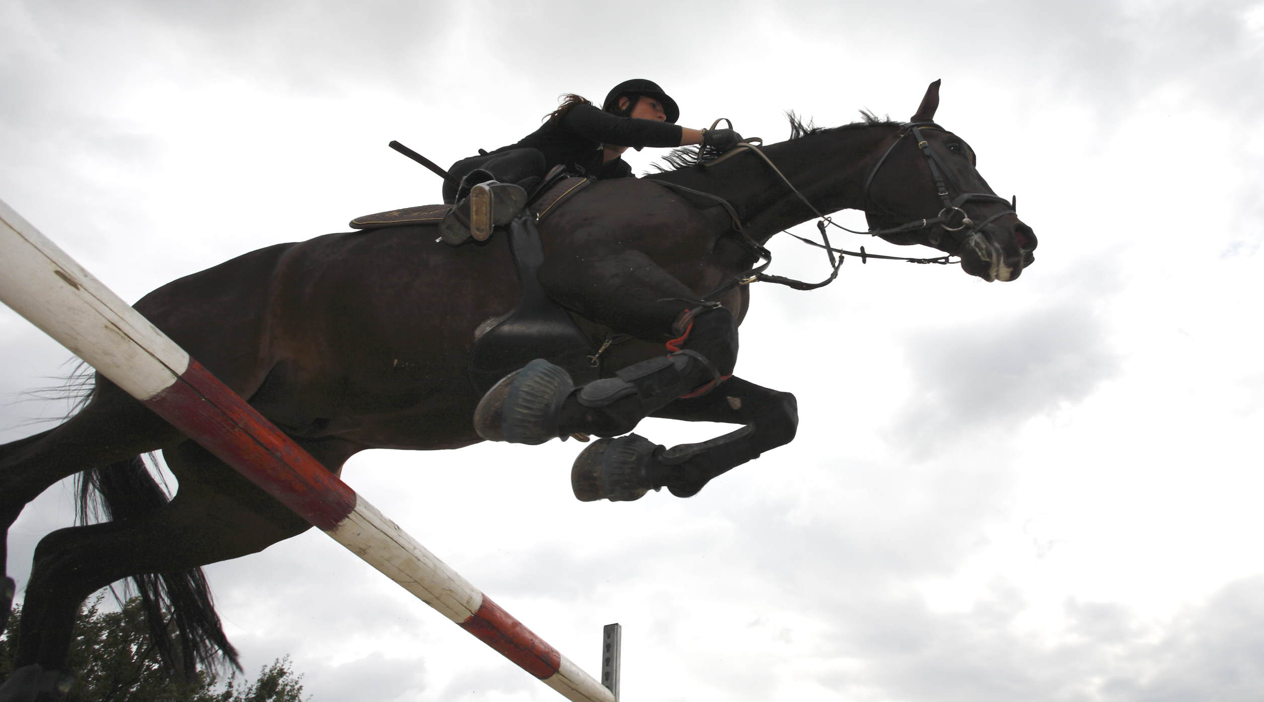 Picture from below of horse and female rider clearing a jump, silhouetted against a cloudy sky.