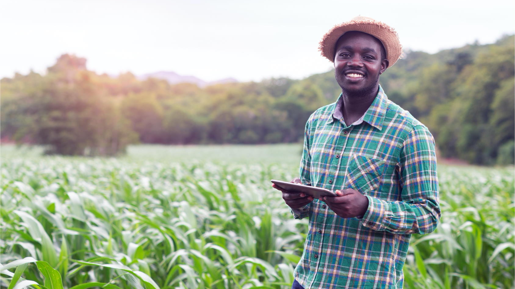 A smiling African farmer in check-shirt and straw hat, standing in a field of crops with tablet computer in his hands