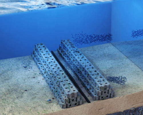Computer generated see-through image of reef on ocean floor.